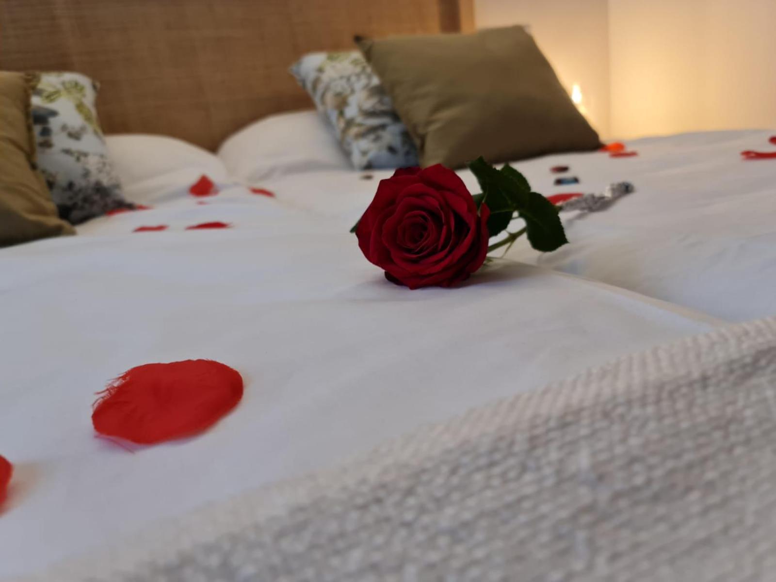 Hotel Camino De Las Estrellas Serranillos ภายนอก รูปภาพ
